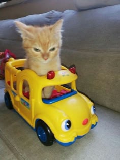 a small orange kitten with big green eyes is sitting inside a yellow toy school bus, the kitten looks very cute and playful. the background is a white couch with a yellow blanket, the kitten is driving the bus.