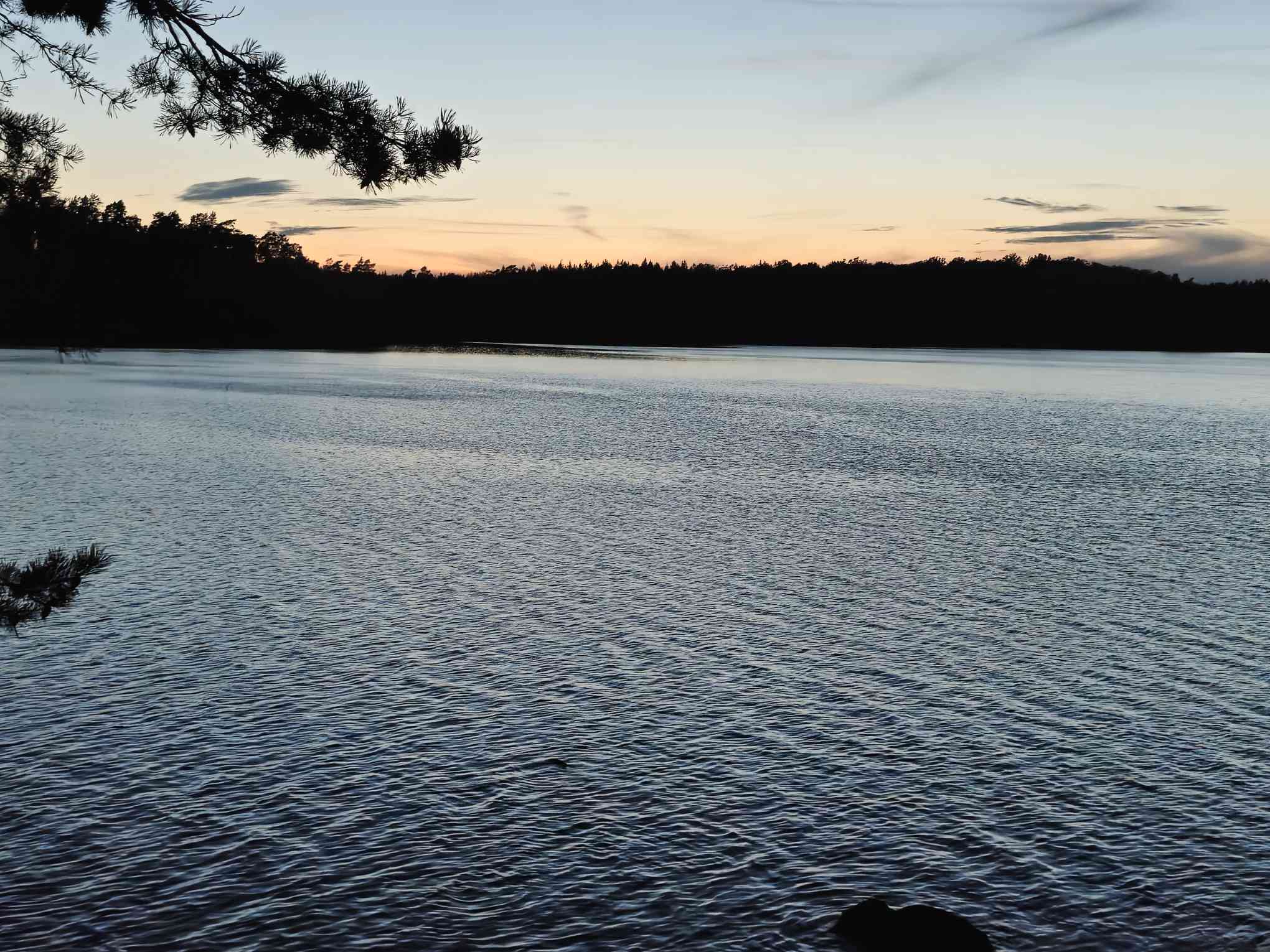 a scenic view of a lake at sunset, with trees silhouetted against the colorful sky. gentle ripples cover the water's surface, and a branch extends into the frame from the upper left.