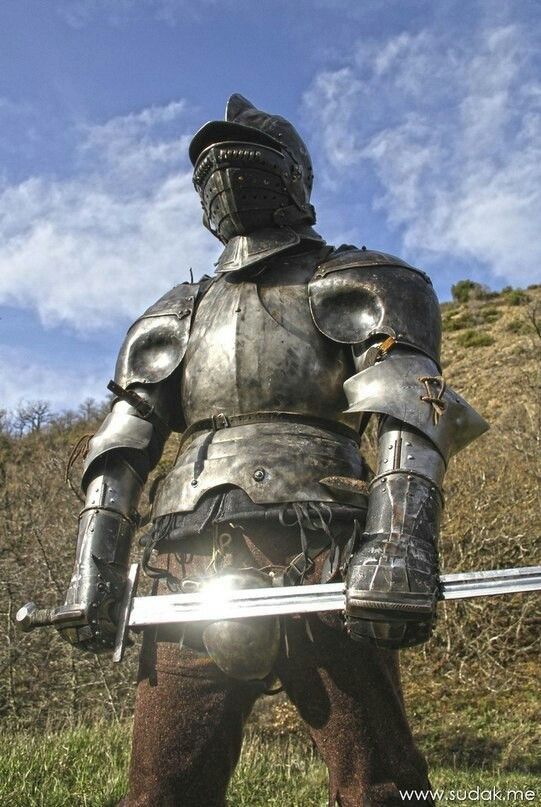 a man in full plate armor stands in a field, holding a sword. he is wearing a helmet with a visor, and his armor is highly detailed. the background is a sunny day with blue skies and clouds. the image is taken from a low angle, making the knight appear imposing.