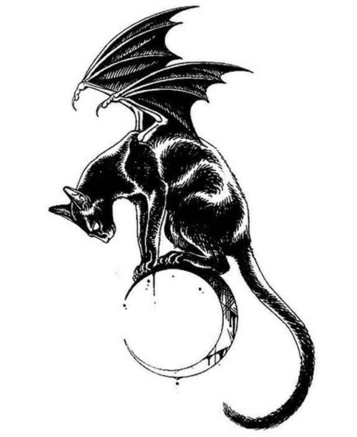 a black and white drawing of a black cat with bat wings sitting on a crescent moon. the cat is looking down. the style is gothic and mystical.