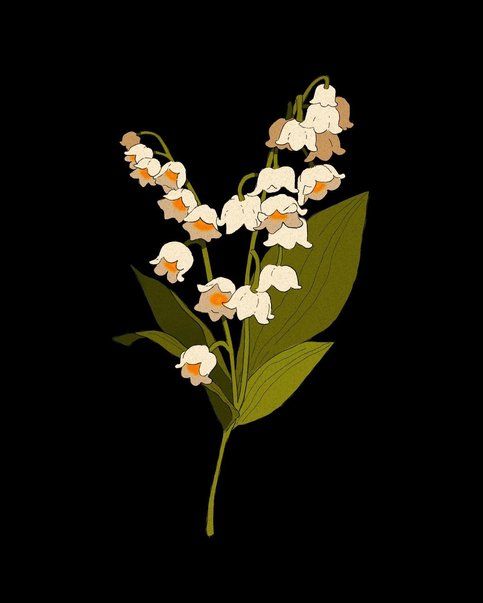 the image is a stylized botanical illustration of a lily of the valley (convallaria majalis) sprig.  the flowers are depicted in a delicate, slightly muted palette of offwhite and light beige with a touch of orange in the center. the leaves are a dark olive green. the style is minimalist and elegant, with clean lines and a focus on the form of the plant. the dark black background makes the flowers stand out prominently. the overall impression is one of simplicity, beauty, and natural elegance.