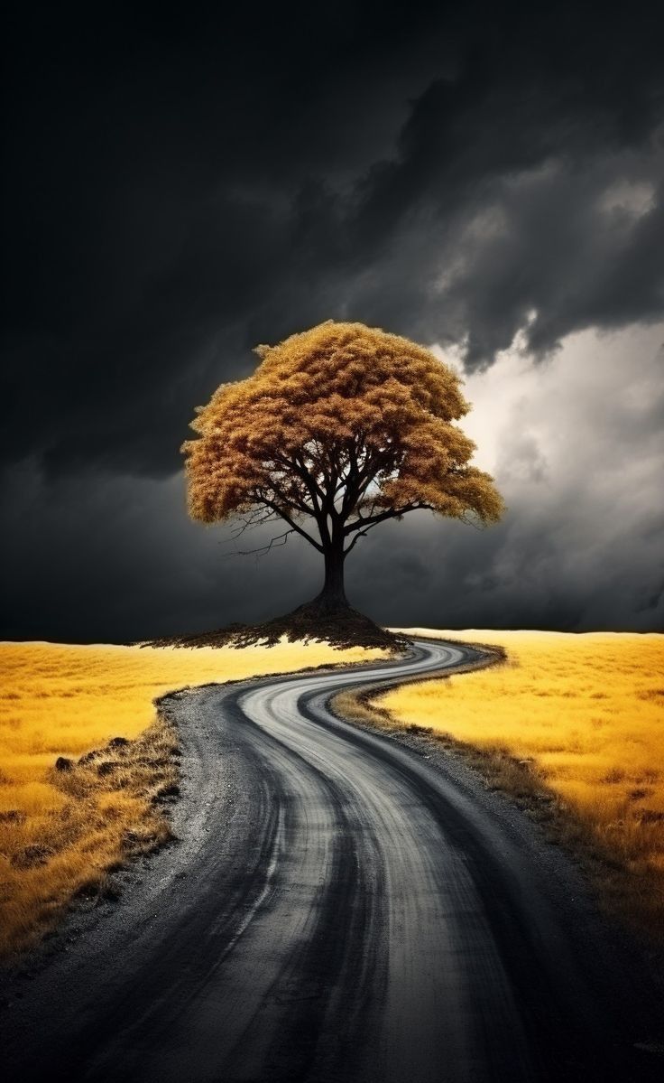 an image shows a tree centered in the frame, situated at a bend in a winding road. the road leads the eye from the foreground, curving gently to the base of the tree, which stands on a slight rise. the tree is full and round, with goldenbrown leaves, suggesting it is autumn. dark, stormy clouds fill the sky, creating a dramatic contrast with the golden field surrounding the road. the overall scene has a sense of depth and atmosphere.