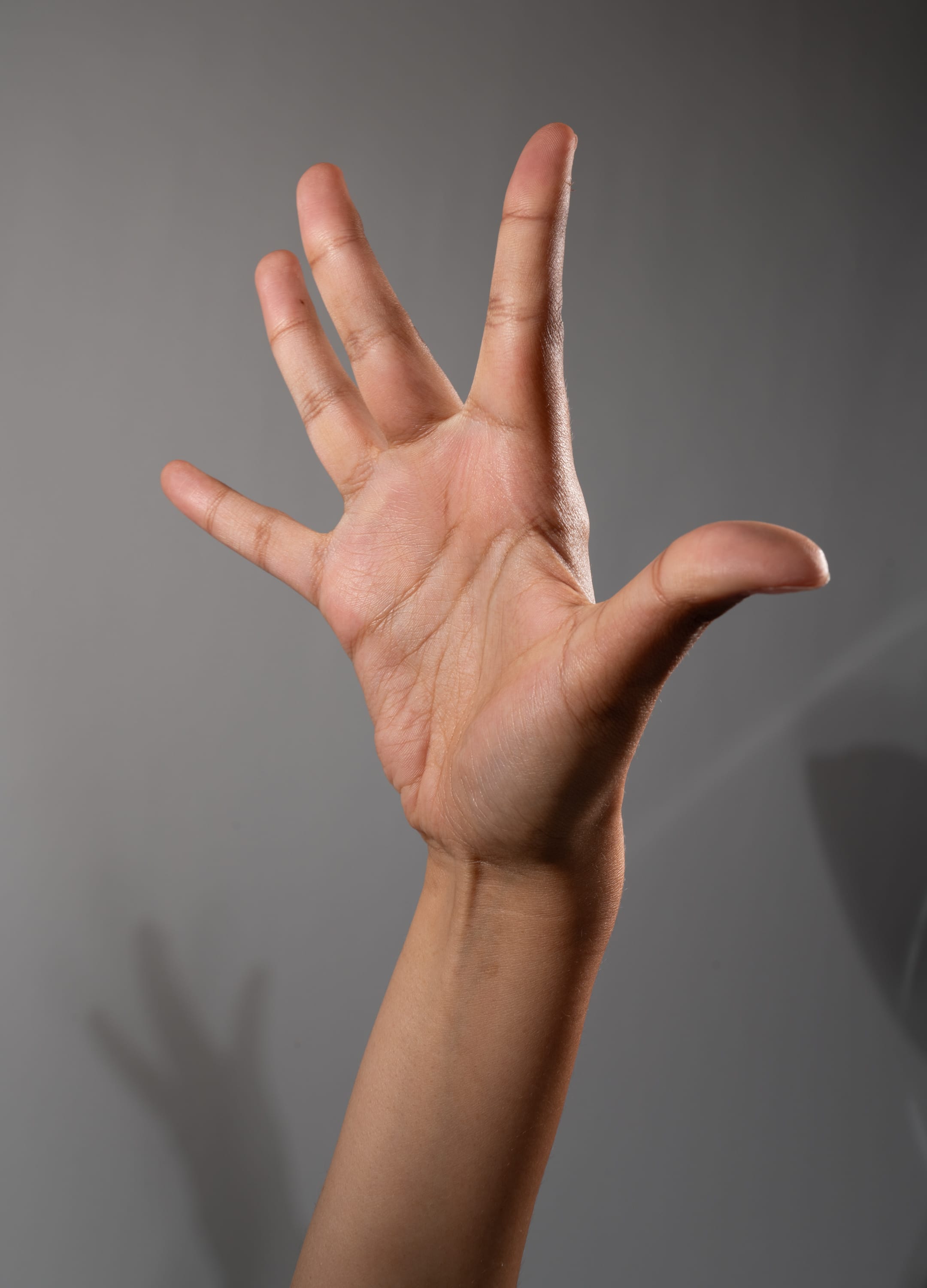 an image of a person's hand extended upwards against a neutral gray background. the hand is open, with fingers slightly spread apart. the skin tone is medium brown, and the hand exhibits natural lines and wrinkles. a shadow of the hand is cast on the background, adding a sense of depth and dimension to the composition. the lighting is soft and diffused, highlighting the texture of the skin and the contours of the hand. the image focuses on the hand's gesture, suggesting a sense of reaching, signaling, or expression.