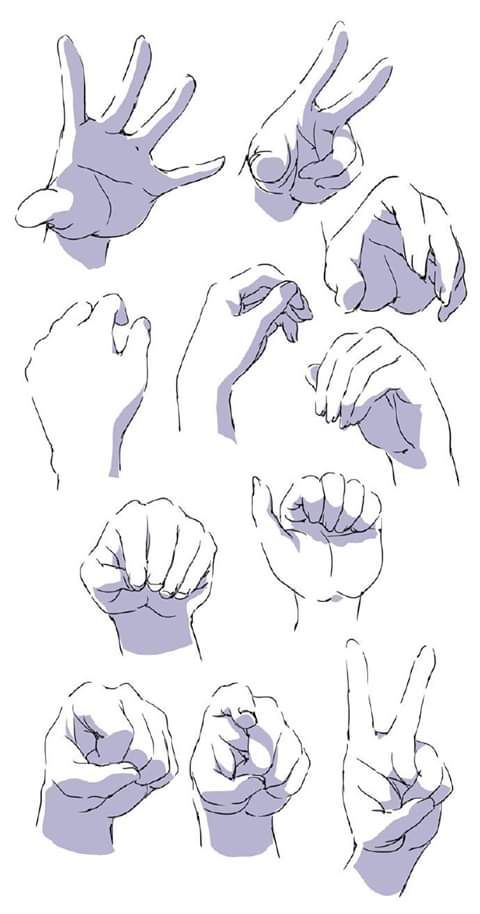this is an illustration of different hand poses drawn in an outline style with a light gray fill. the hands are drawn in a variety of positions including open palms, fists, and various finger positions. the drawing focuses on the structure and anatomy of the hand.