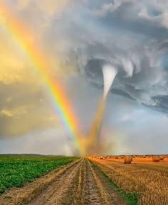 a stunning photograph captures the rare sight of a rainbow intersecting with a funnel cloud, creating a breathtaking spectacle against a backdrop of storm clouds. the rainbow, a vibrant arc of color, gracefully arches across the sky, while the funnel cloud, a swirling vortex of air, extends downward from the storm clouds. the scene is framed by a field of golden hay bales, adding to the rural charm of the landscape. the combination of the rainbow and the funnel cloud creates a mesmerizing and aweinspiring display of nature's power and beauty. the vivid colors, dramatic sky, and picturesque setting make this image a truly captivating work of art.