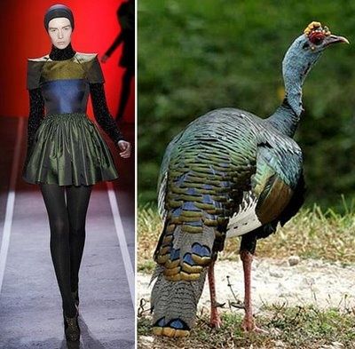 a woman in a green dress walks on a runway. on the right is a wild turkey in a green forest.  the image shows a juxtaposition of fashion and nature.  the woman is elegant and sophisticated, while the turkey is wild and natural.