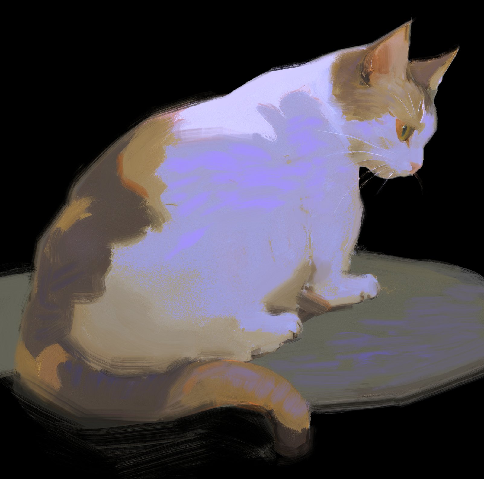 a white and brown cat sits on a grey object, against a dark background. the cat's tail is curled up and the cat is looking away. the cat's fur is fluffy and white.