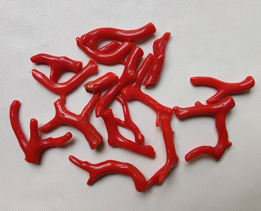 a topdown view of numerous red coral branches scattered on a light grey textured surface. the coral branches vary in size and shape, showcasing their natural and intricate forms.