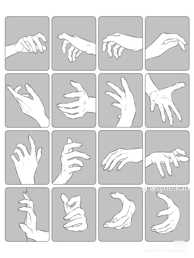 the image is a study of different hand poses presented as a grid of 12 illustrations on a gray background. each square depicts a different hand position or gesture in a simple, clean line art style, providing a reference for artists to study hand anatomy and drawing techniques.