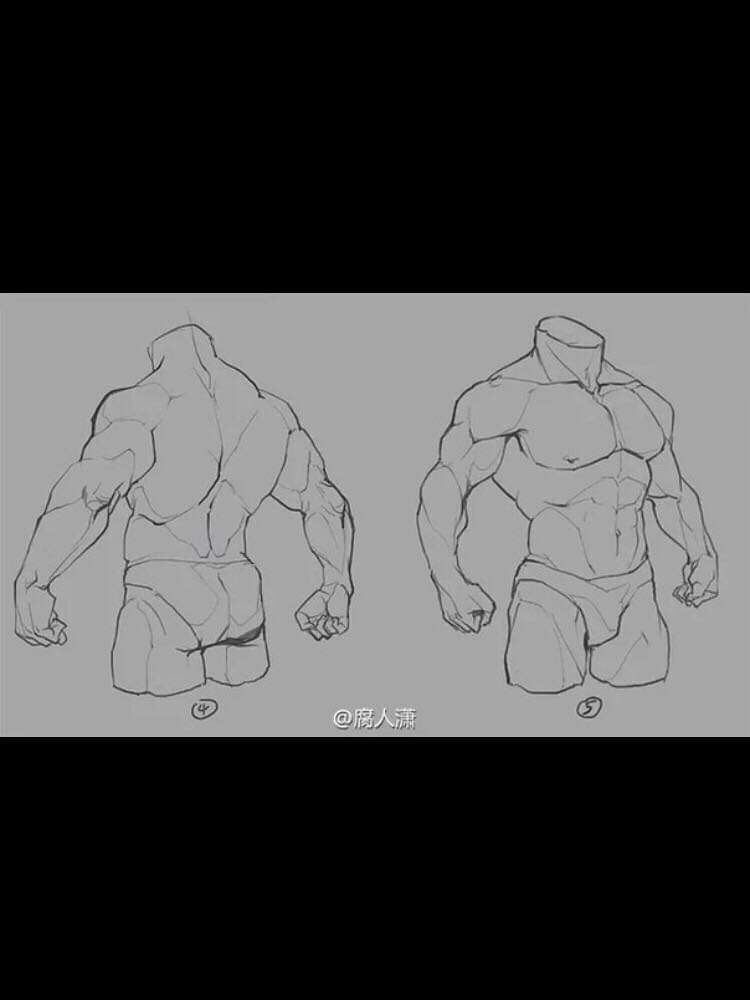 the image showcases two detailed sketches of a muscular male torso from slightly different side views. the drawings emphasize the anatomical definition of the back and chest muscles. they are presented against a plain gray background, suggesting an artistic study rather than a finished piece.