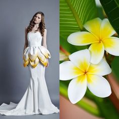 this is a split image with two contrasting themes. the left side features a woman in a white dress with a yellow flower pattern. the right side features a closeup of white plumeria flowers. the contrast between the two sides adds visual interest and creates a harmonious composition.