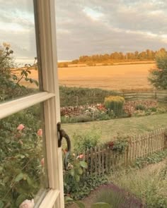 a view from inside a rustic farmhouse looking out through a window. the window frame is white wood with a black handle and is open, allowing a glimpse into a beautiful rural landscape. the garden is filled with lush green grass and a variety of plants and flowers, including roses. a white picket fence encloses the yard, and in the distance, a field of golden wheat is visible. the sky is a soft blue with clouds, and the sun is setting, casting a warm glow over the scene. the overall feeling is one of peace and tranquility.