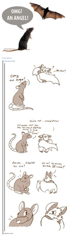 a comic strip featuring a rat and a bat. the first panel shows the bat flying away from the rat, with a speech bubble saying "omg! an angel!". the next few panels show the rat talking to the bat, with the bat responding with confused and flattering comments. the last panel shows the rat feeling embarrassed with the bat's compliments. the comic is drawn in a cartoon style and is humorous.