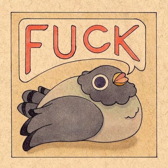 the image is a cartoon drawing of a chubby gray bird on a tan background. the bird has one large black eye with a white dot, a small orange beak, small legs and feet, and one visible wing. there is a speech bubble coming out of the bird's beak that reads "fuck" in red outlined letters.