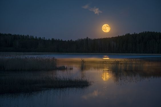 a captivating landscape photograph depicting a serene lake at night under the glow of a full moon. the moon, positioned in the top right quadrant of the image, casts a warm, golden light upon the still water, creating a shimmering reflection. the lake is surrounded by a dense forest, silhouetted against the twilight sky. the tranquil ambiance of the scene evokes a sense of peace and wonder.