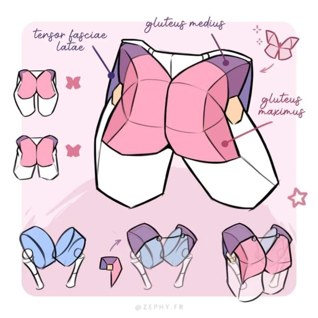 a digital illustration depicting a simplified, stylized representation of the gluteal muscles of the human body. the illustration utilizes pastel colors and a butterflyshaped outline to represent the shape and position of the gluteus maximus, gluteus medius, and tensor fasciae latae muscles. the purpose of this illustration is likely to serve as an educational tool for artists or anyone interested in learning about human anatomy.