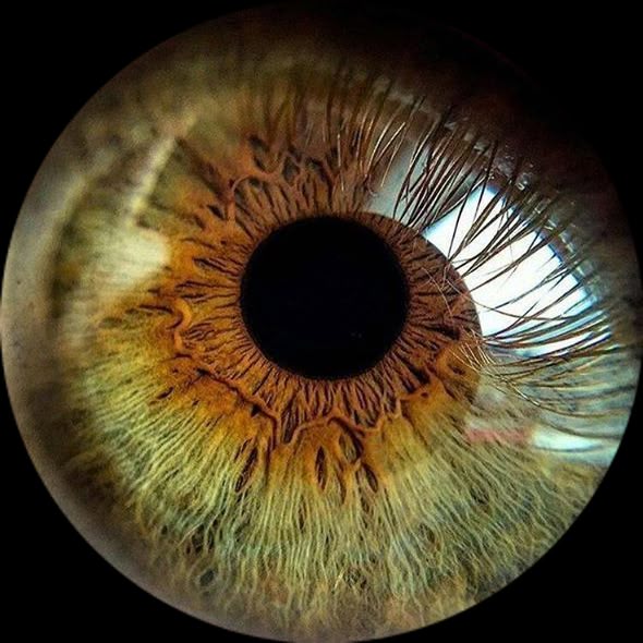 this is a macro closeup photograph of a human eye. the image focuses on the iris, which exhibits a complex pattern of brown, green, and hazel colors. the black pupil is centered within the iris. eyelashes are visible, extending from the edge of the eye. the photo highlights the intricate details and textures of the eye.