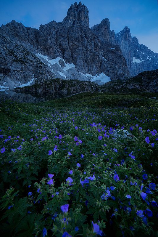 the image showcases a breathtaking mountain landscape at dusk. in the foreground, a vibrant meadow filled with blue flowers leads the eye towards a rugged mountain range. the sky transitions from a dusky blue to a darker twilight tone. in the middle ground, there is a small lake reflecting the mountains.