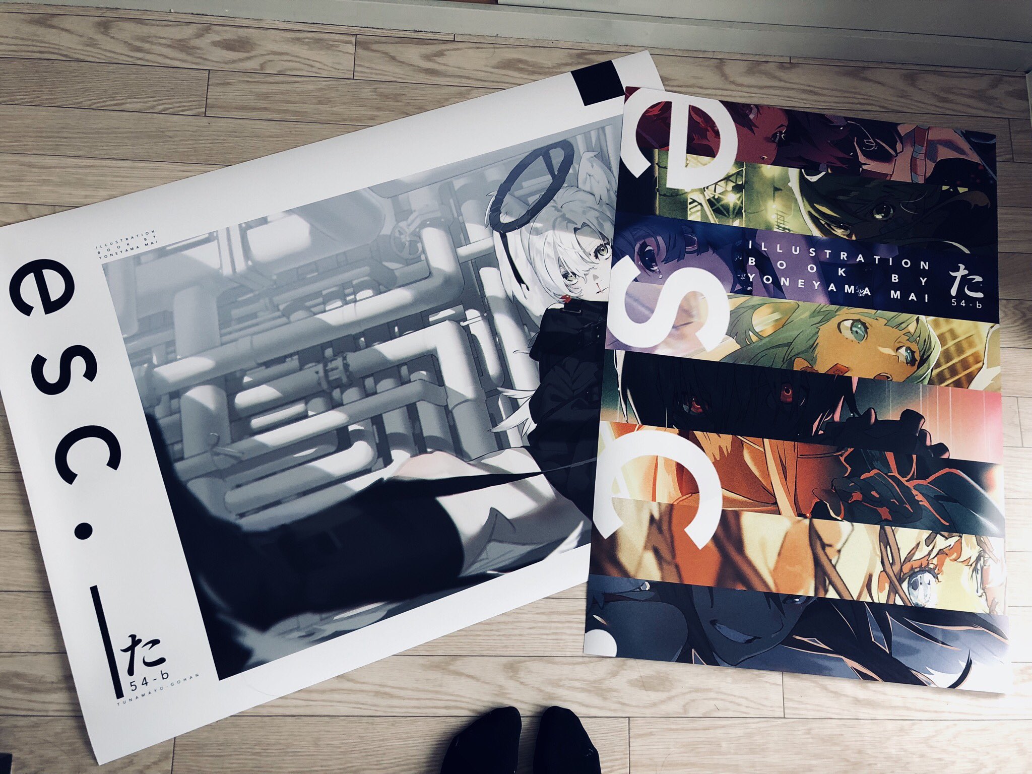 the image shows two posters and an artbook laid out on a light wooden floor. the posters and the cover of the artbook feature animestyle illustrations. the posters are primarily black and white, while the artbook cover is more colorful. the perspective is from above, as if someone is standing over the items.