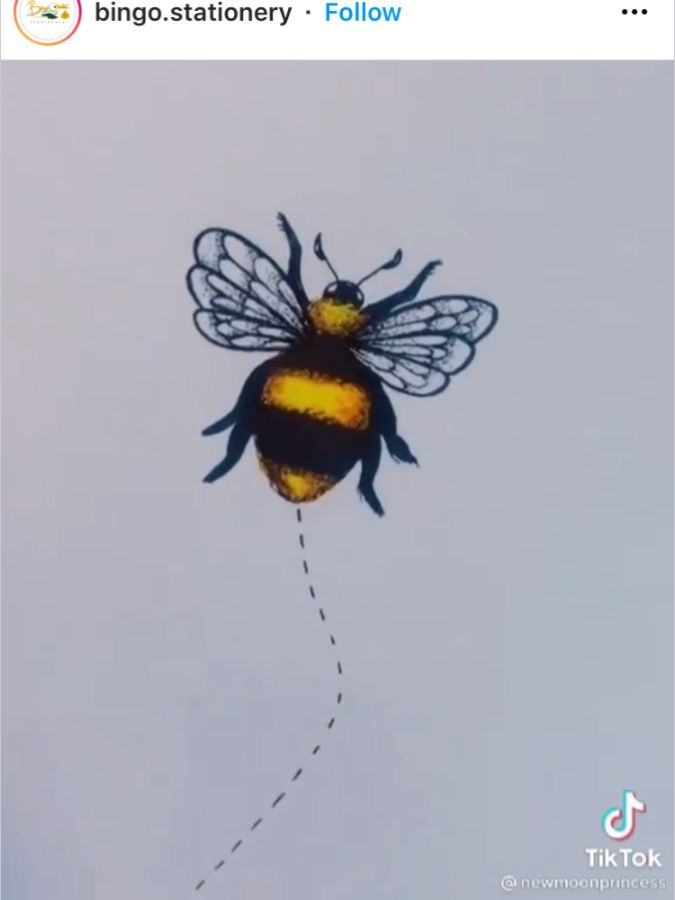 the image showcases a minimalist handdrawn illustration of a bumblebee. the bee is depicted in black and yellow, with intricate details in its wings. it's flying and leaving a dashed line behind it, suggesting movement and flight. the style is simple yet aesthetically pleasing. the artwork is attributed to "bingo.stationery" on a tiktok video by "newmoonprincess". the overall background is plain, allowing the bee to be the focal point.