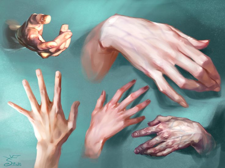 this image showcases six different studies of hands, rendered in a painterly style. each hand is positioned uniquely, offering diverse perspectives and highlighting the complexities of hand anatomy. the artist employs a palette of muted, naturalistic tones, capturing both the subtle variations in skin tone and the play of light and shadow across the surfaces. the background is a serene teal, allowing the rendered hands to take center stage.