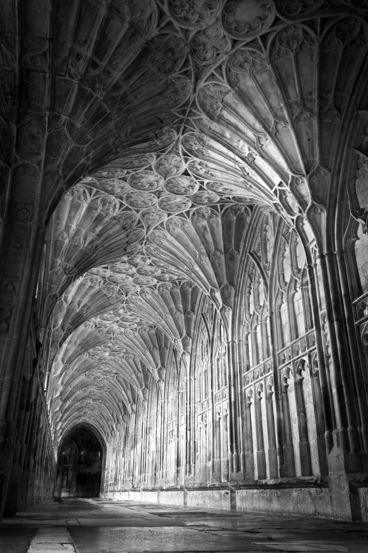 this black and white image captures the grandeur of a gothic cathedral's vaulted ceiling and arched hallways. the play of light and shadow accentuates the intricate details of the architecture. the long hallway, lined with columns, extends towards a distant archway, creating a sense of depth and perspective.