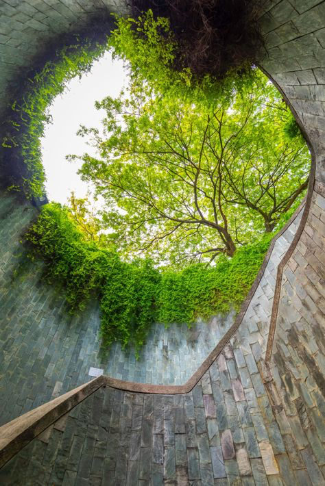 the image showcases a spiral staircase descending into an underground passage. the passage is constructed of dark grey stone, creating a textured wall. lush greenery, including vines and trees, blankets the walls and the overhead opening, creating a striking contrast between the manmade structure and the abundant nature. sunlight streams through the circular opening at the top, illuminating the foliage and casting light onto the stairs. the overall effect is one of integrating nature into an urban setting, possibly within a park or similar space, suggesting a design element focused on environmental harmony. the perspective is from the bottom of the stairs, looking up toward the light and foliage above.