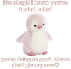 a pink penguin plush toy is the subject of this encouraging image. the text, in pink letters, reads "it's okay!! i know you're trying baby! you're doing so good. please don't give up now." this image appears to be a supportive message for someone who is struggling and encourages them to keep trying.