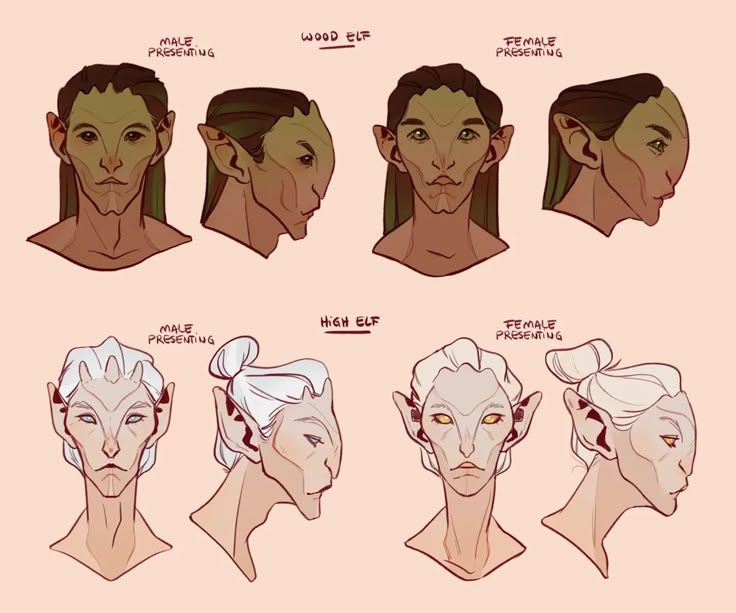 the image shows a character design sheet for two types of elves: wood elves and high elves. each elf type is shown with a male presenting and female presenting character, both in front and side view. the wood elves have a green hue to their skin and hair, with long straight hair. the high elves have paler skin and white hair, often styled in buns. the illustrations detail their facial features, including distinctive ears.