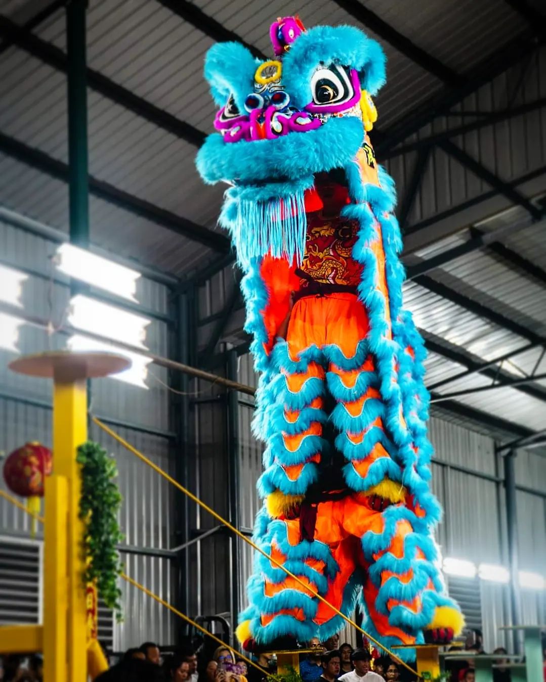 a vibrant blue and orange chinese lion dance costume is dramatically posed atop a platform, illuminated by bright stage lights. the lion's head is large and expressive with bright colors and intricate details. its body, draped in layers of colorful fabric, stretches high above a crowd of onlookers who are gathered to watch the performance.  the setting appears to be an indoor space, likely a community hall or similar venue, with a corrugated metal roof and scaffolding visible in the background.