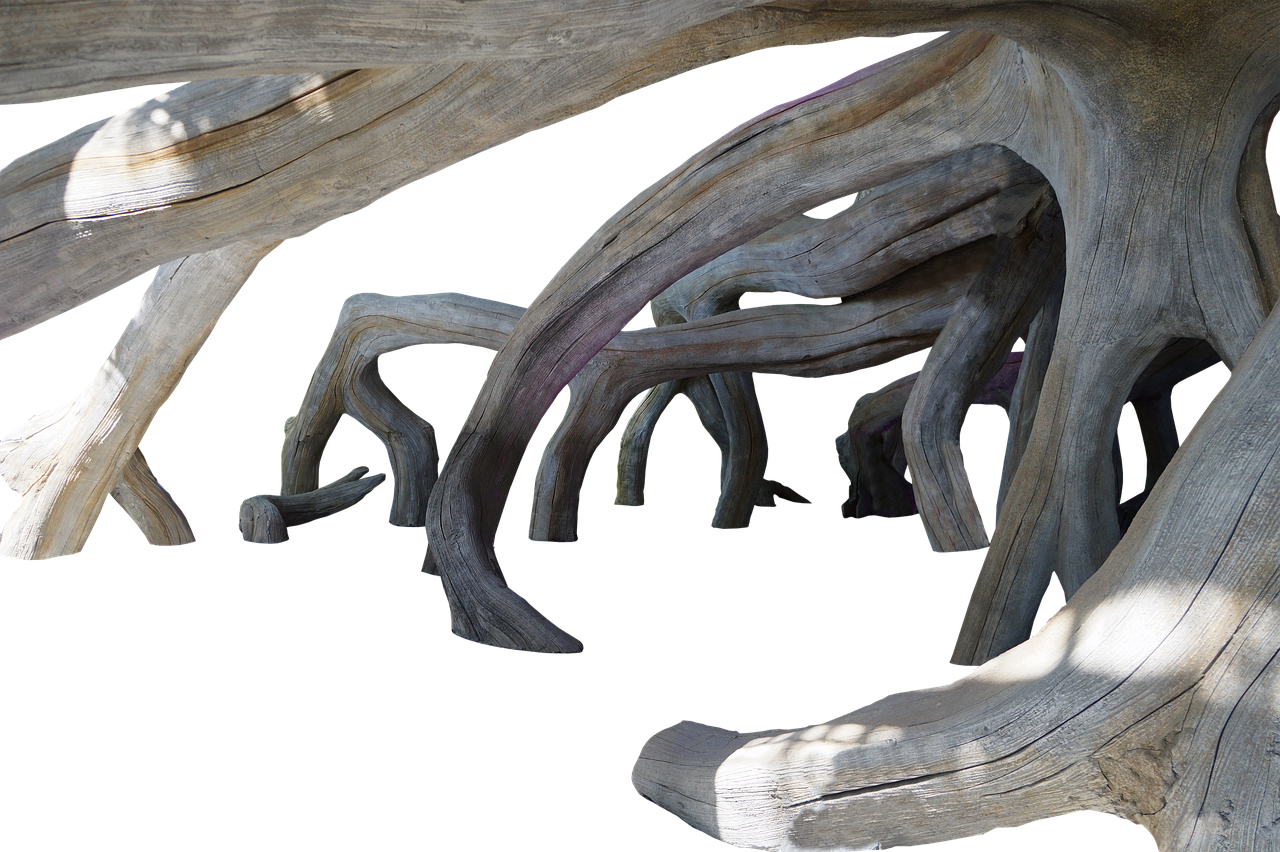 the image shows a network of gray driftwood branches against a black background. the branches are arranged in a complex, rootlike structure with light and shadow playing across their surfaces, highlighting the texture of the wood. the overall effect is abstract and naturalistic.