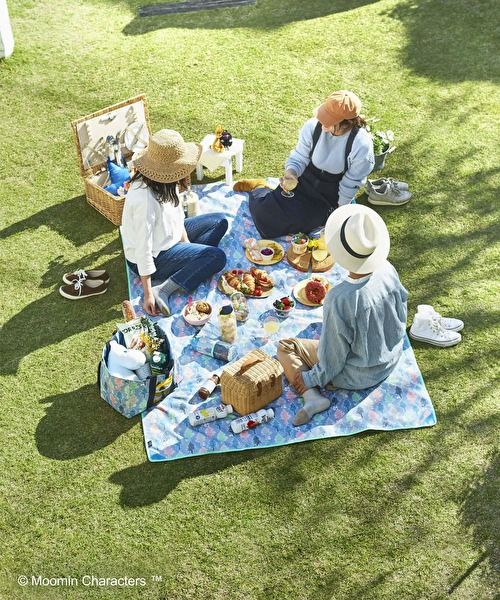the image shows three friends enjoying a sunny outdoor picnic on a vibrant green lawn.  they are seated on a moominthemed picnic blanket, surrounded by a delightful spread of food and drinks. a wicker picnic basket, a cooler bag, and various food items including sandwiches, cake, fruit, and cookies are visible.  the friends are dressed casually, and two are wearing straw hats. the overall atmosphere is one of relaxed happiness and camaraderie.  the scene is bright and cheerful, with the warm sunlight enhancing the picnic ambiance.
