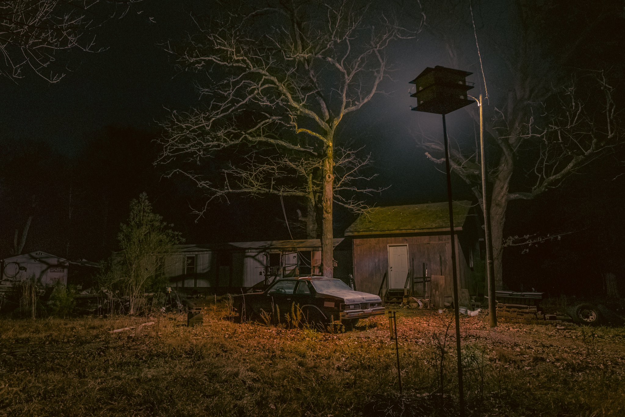 a dark and eerie scene at night depicts an abandoned property. a rusty old car sits in the overgrown yard in front of weathered sheds and a small house. a tall, bare tree looms over the scene, and a birdhouse on a pole is illuminated by a nearby light. the overall atmosphere is spooky and dilapidated, suggesting neglect and decay.