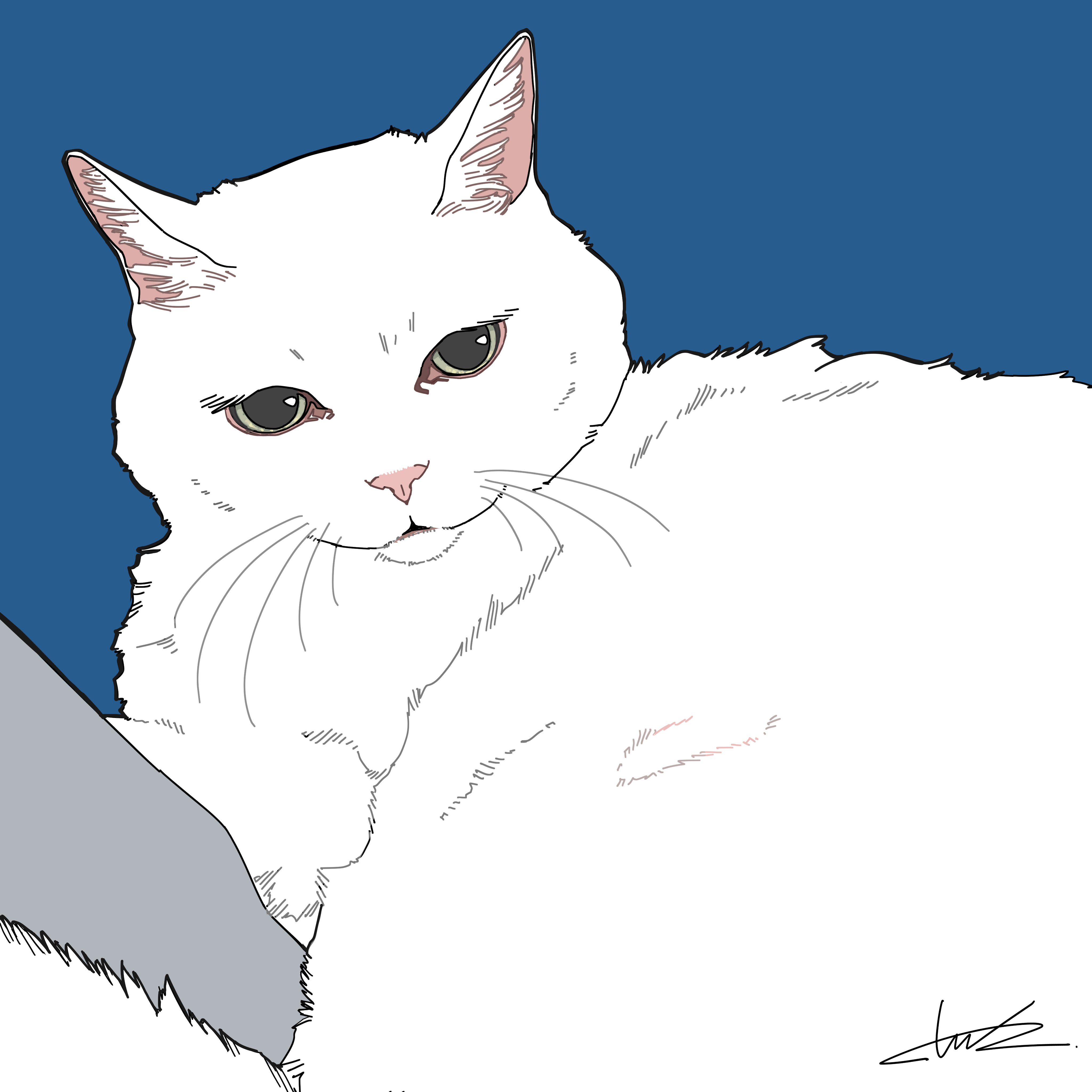 the image shows a stylized illustration of a white cat. the cat is depicted in a minimalist style with clean lines and subtle shading, mostly focusing on the cat's face and upper body. the cat has a calm expression and appears relaxed. the background is a solid, dark blue color which contrasts with the white fur of the cat. the style could be categorized as vector art, line art, or a minimalist cartoon style. the overall feel of the piece is serene and simple.