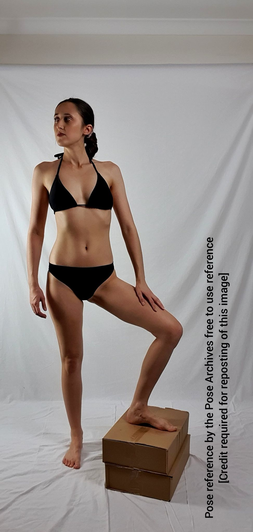 a young woman in a black bikini is standing with one leg resting on a stack of two cardboard boxes. she poses against a white backdrop, likely in a photography studio setting.  she is lit with soft, artificial light.