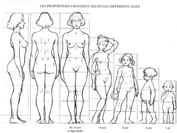 the image shows a series of drawings depicting the human figure at different ages, illustrating how body proportions change from childhood to adulthood. it shows the progression of proportions in humans from a baby to an adult. there are six figures, starting with a baby at one year old, moving to a threeyearold, a fiveyearold, a tenyearold, a 15yearold, and then an adult female. the figures are drawn within grids to help visualize the changes in their proportions, and each figure is labeled with its corresponding age.