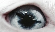 a closeup of a human eye, with the focus on the iris and pupil. the iris is a dark gray color and the pupil is black. the eye is surrounded by white sclera and there is a hint of pink in the inner corner of the eye. the image is taken in a macro setting and provides great detail of the eye.