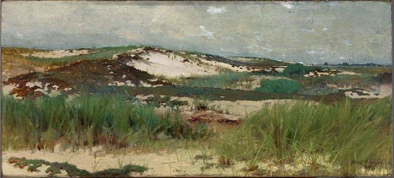 this is a painting of a landscape featuring sand dunes covered in grass. the sky is cloudy, and there are some trees in the distance. the scene appears to be a beach or coastal area. the painting is by arvid järnefelt and is dated 1885. it depicts a natural environment with focus on dunes, grass, and sky. the artwork showcases varied vegetation on the dunes.