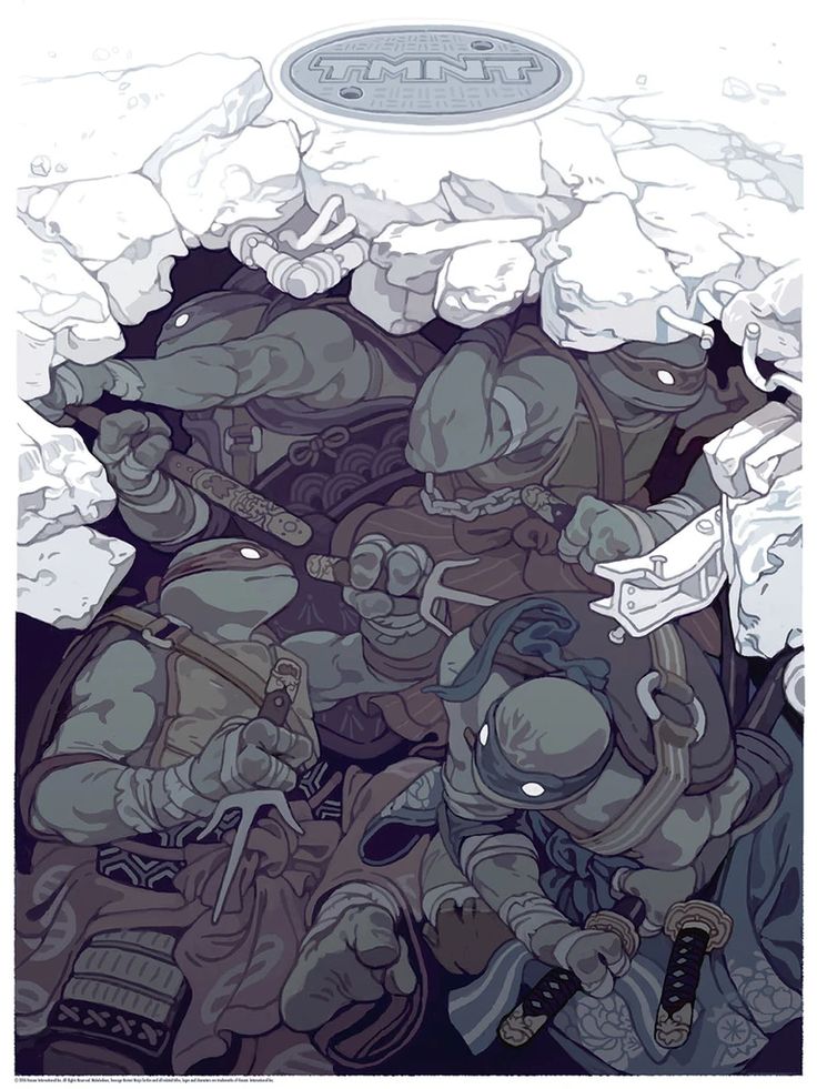 the image features the teenage mutant ninja turtles in action,  four figures are captured in this image,  they are depicted as ninjas in a fighting pose. the scene is set in a sewer, with a manhole cover above, it's unclear what they're fighting, but they are clearly prepared for a battle.  the artwork is in a comic book style, with bold lines and vibrant colors.
