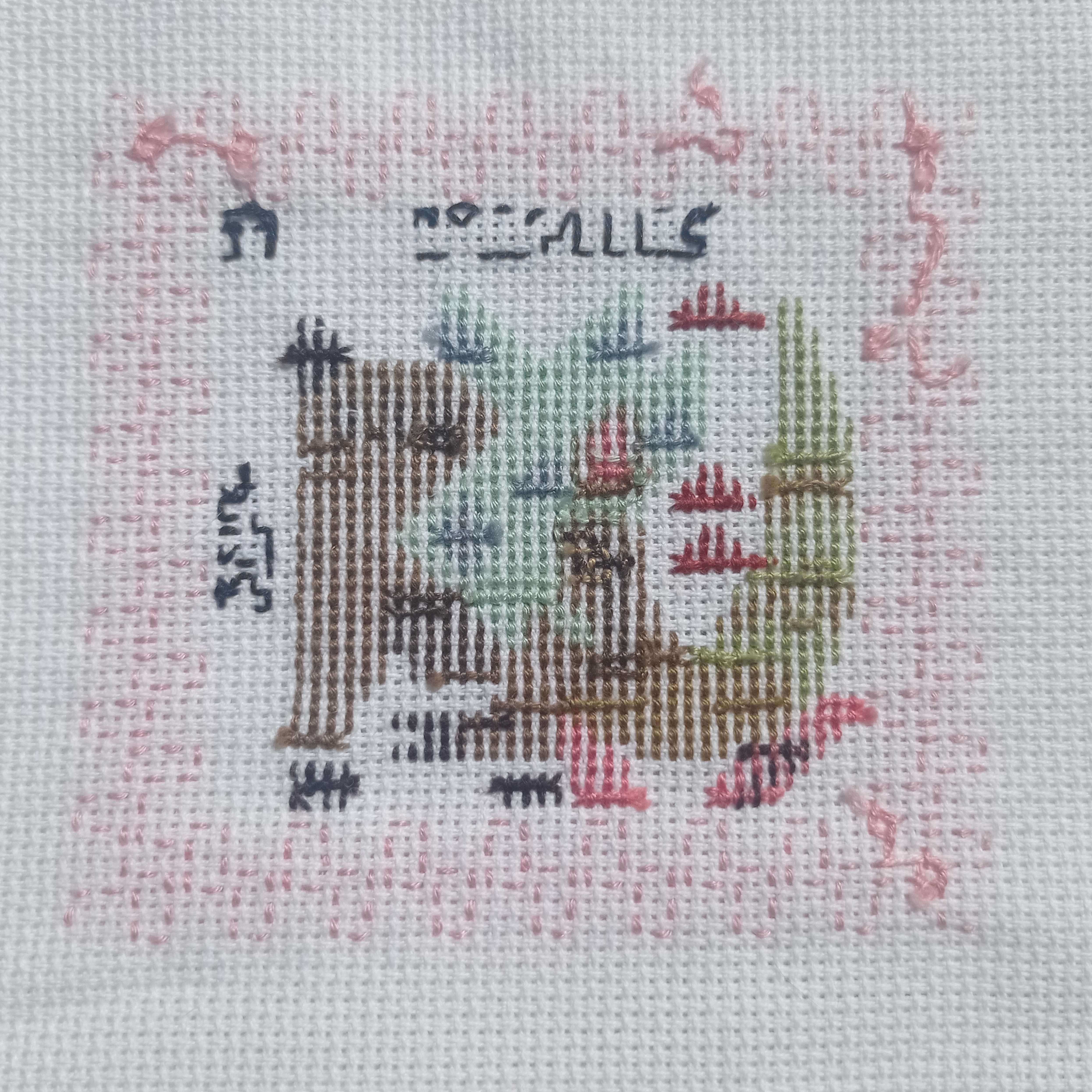a closeup photograph of a piece of white aida cloth.  there is a piece of finished cross stitch on the cloth, depicting a small map in greens, browns, pinks and greys. it has a pink border. the letters "scale" are stitched on the top of the map.