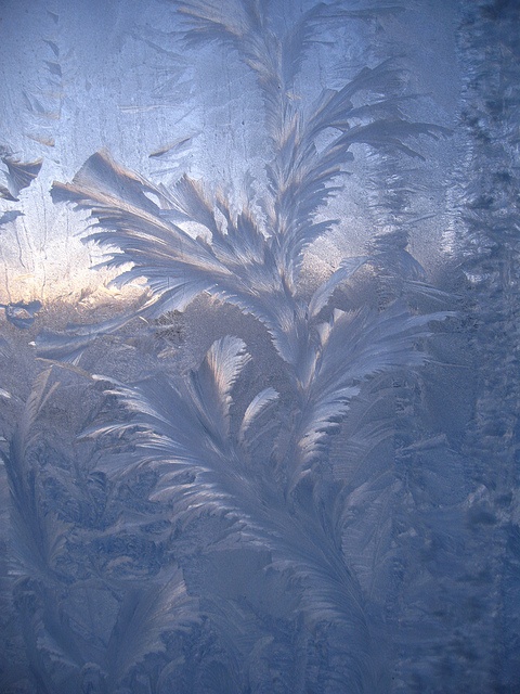 the image shows intricate frost patterns on a window, resembling frozen ferns or icy branches. the patterns are detailed and crystalline, creating a wintery, abstract texture. the background is slightly blurred, suggesting the scene outside is out of focus, emphasizing the frosted surface. the overall tone is cool and bluish, typical of winter imagery.