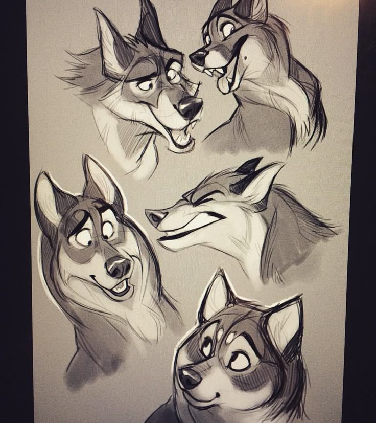 the image shows a collection of expressive wolf or dog head sketches. there are five drawings in total, each with a different expression, angle, and style. they appear to be character design doodles in a cartoon or animation style. the drawings are in shades of grey, suggesting pencil or charcoal sketches.