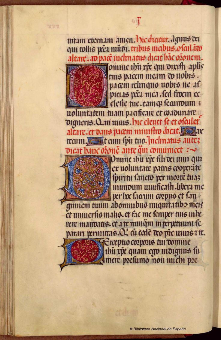 the image displays a page from an illuminated manuscript. the text is in latin and appears to be a prayer. the page is decorated with intricate, colorful borders, and a large, ornate initial "d" marks the start of the text. the initial is filled with intricate designs and motifs that include a stylized vine and flowers in red, blue, and gold. the entire page is adorned with details that showcase the artistry of the period. the manuscript is likely from the middle ages, and its rich detail and the latin text hint at its religious nature.