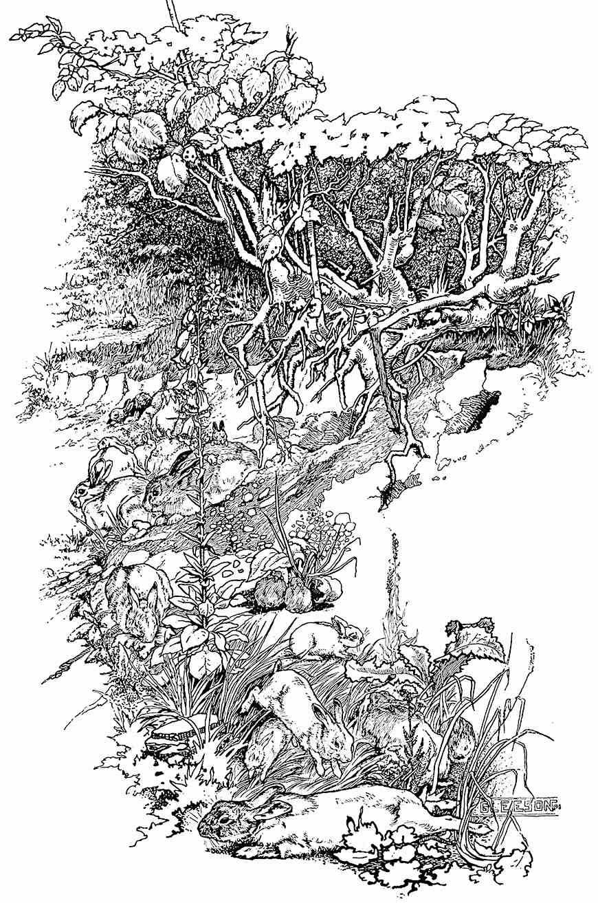 this black and white illustration shows a group of rabbits beneath an uprooted tree.  the rabbits are scattered along a bank in various positions.  plants and other foliage fill the space between the rabbits and the tree.  one rabbit peeks out from beneath a mushroom.  the tree's roots are exposed above ground and create a canopy over most of the rabbits.
