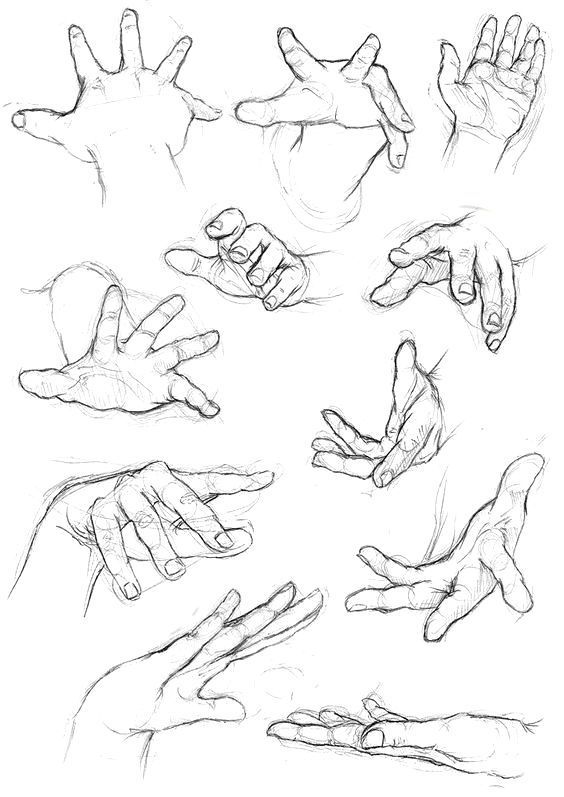 the image showcases a collection of hand drawings, seemingly from an artist's sketchbook or practice session. each hand is depicted in a different pose, capturing various gestures and movements.