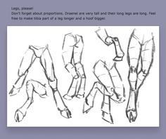 this image is a drawing tutorial, featuring several sketches of animal legs with hooves from different angles.
