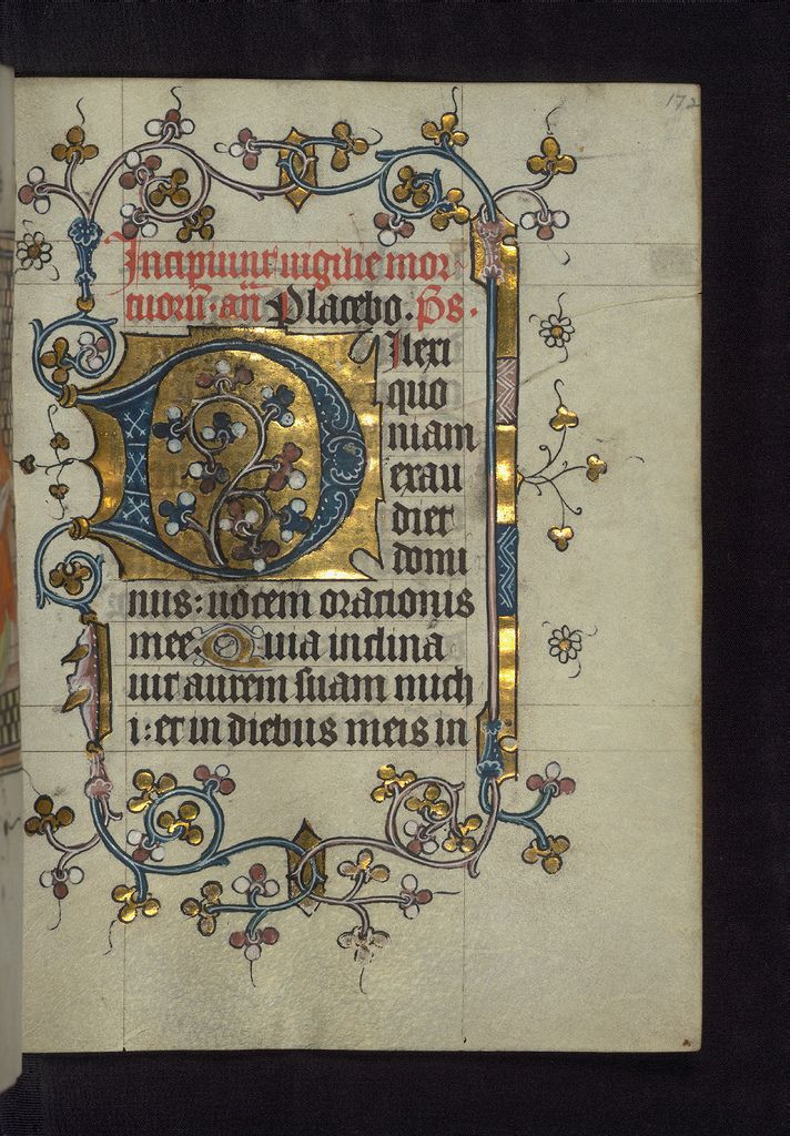 an illuminated manuscript page with a large illuminated capital d, with intricate floral and gold leaf embellishments. the initial 'd' is a dominant feature, creating a vibrant contrast with the delicate vines, leaves, and flowers bordering the page.  it is likely a psalm or a book of hours, as a portion of text is visible and mentions a psalm or an hour in a religious text.