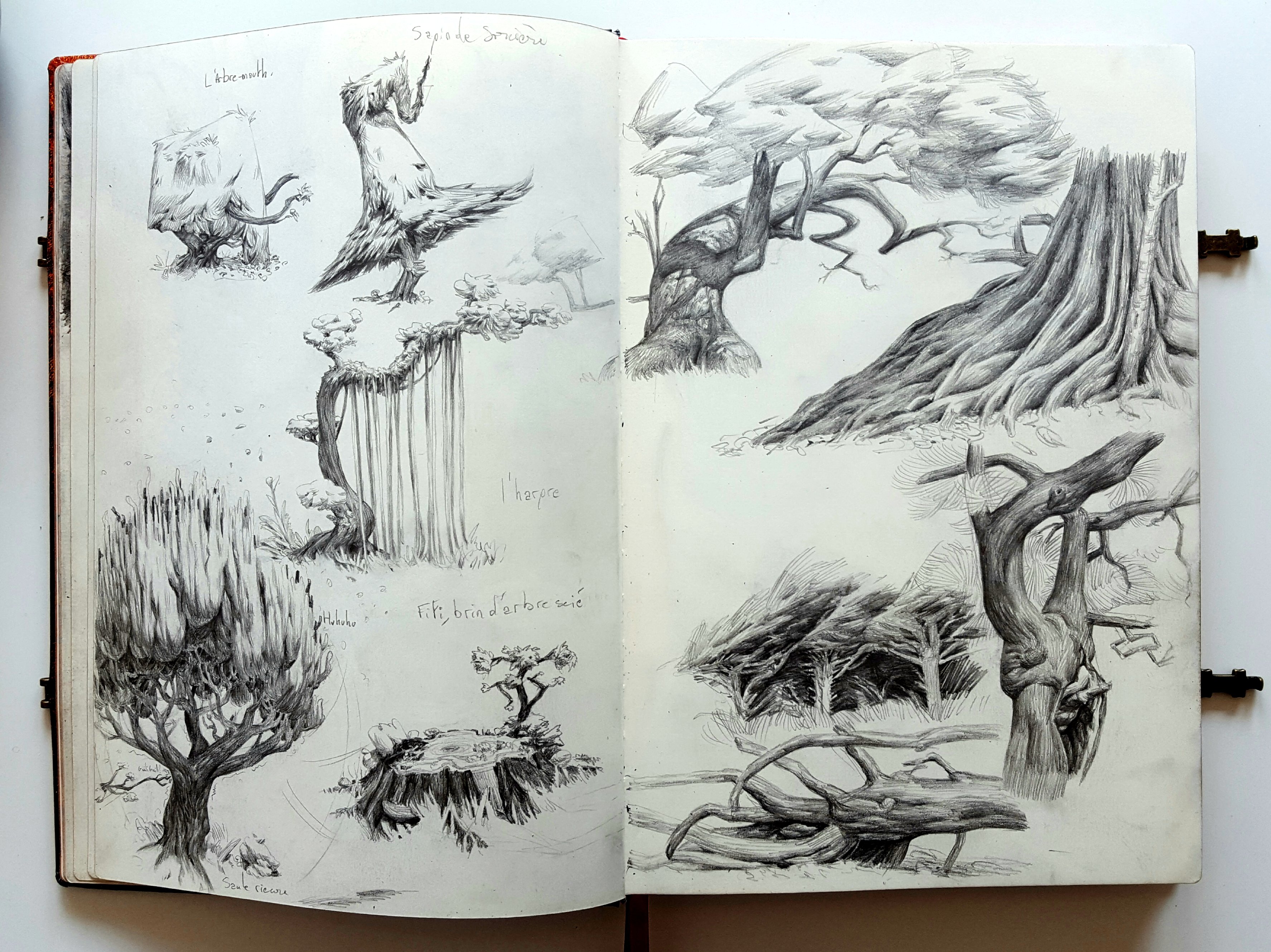 the image shows two pages from a sketchbook filled with pencil sketches of trees in various shapes and sizes. the drawings appear to be studies of different tree species, focusing on their forms, branches, and root systems. the artist uses a variety of pencil strokes to create depth and texture, capturing the essence of these natural elements. the sketches suggest an interest in botanical drawing or landscape art.