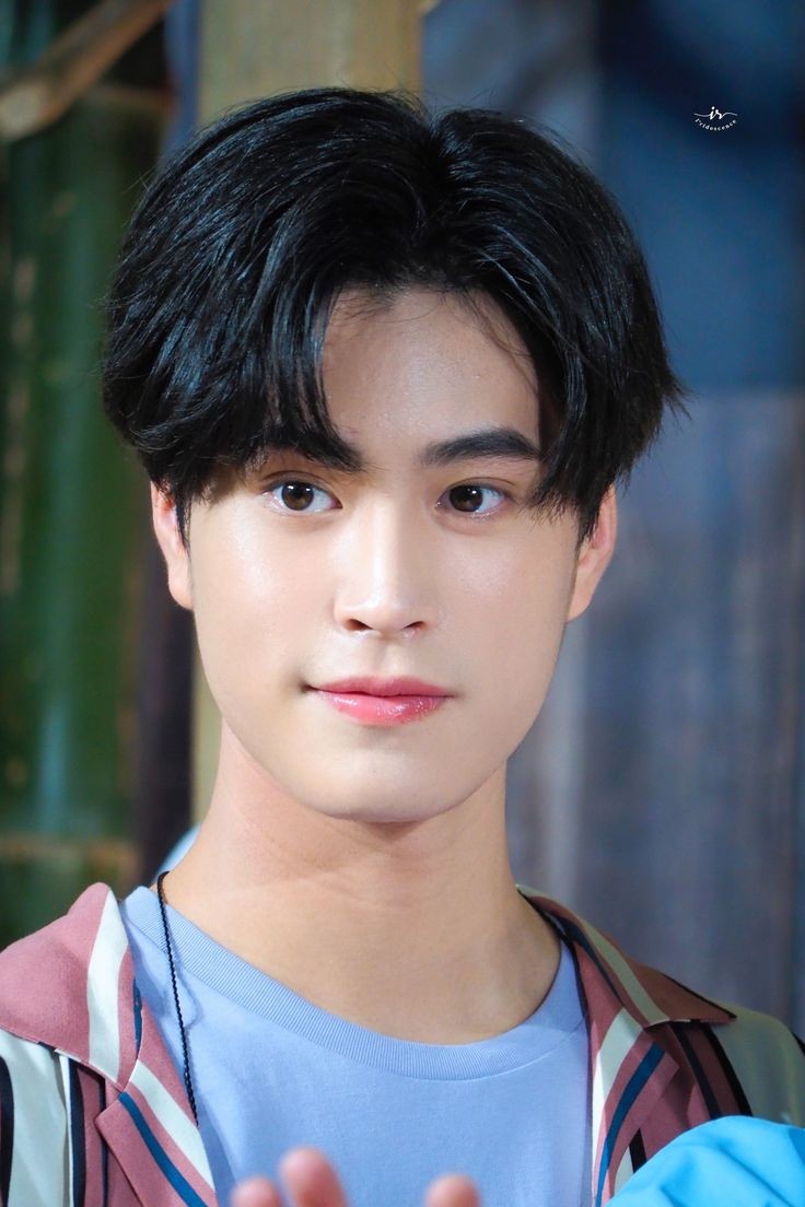 a closeup portrait of a young asian man with dark hair and brown eyes. he is wearing a striped shirt and is looking at the camera with a slight smile. the background is blurred and out of focus.