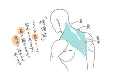 a line drawing of a person's upper back and shoulders, focusing on the muscle structure. the muscles are highlighted in a teal color, with annotations in a different language, likely indicating the names of specific muscles or muscle groups. the drawing style is simplified for educational purposes, emphasizing the anatomical features.